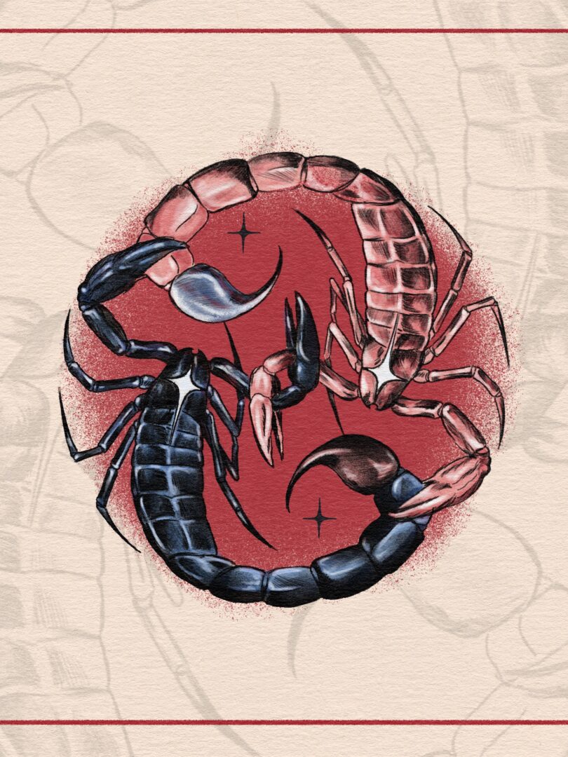 Scorpion print